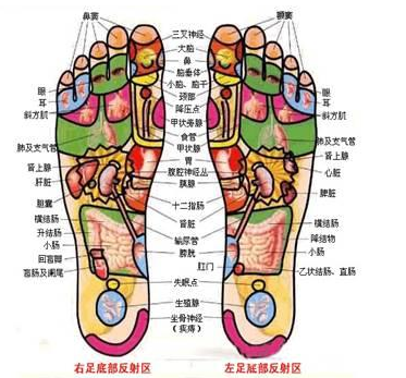 玉强龙技术足疗的常用手法.png